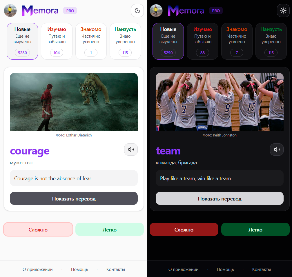 Интерфейс Memora Cards — светлая и тёмная темы